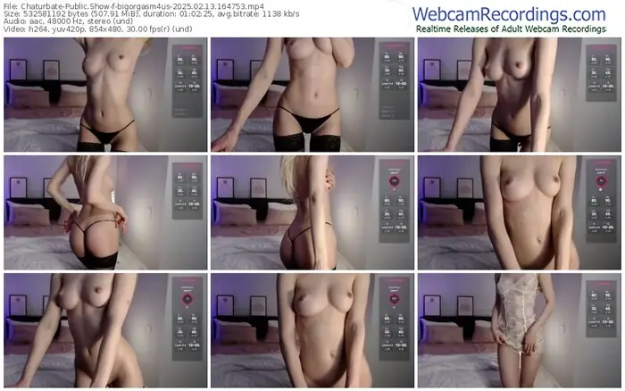 2025/02/13/chaturbate-bigorgasm4us-16-47-53