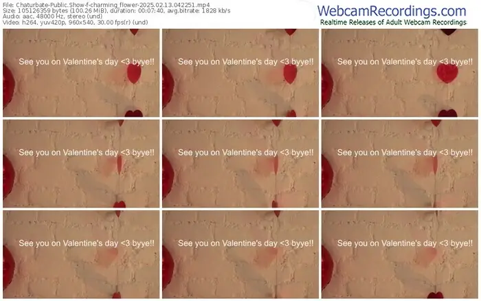 2025/02/13/chaturbate-charming_flower-04-22-51