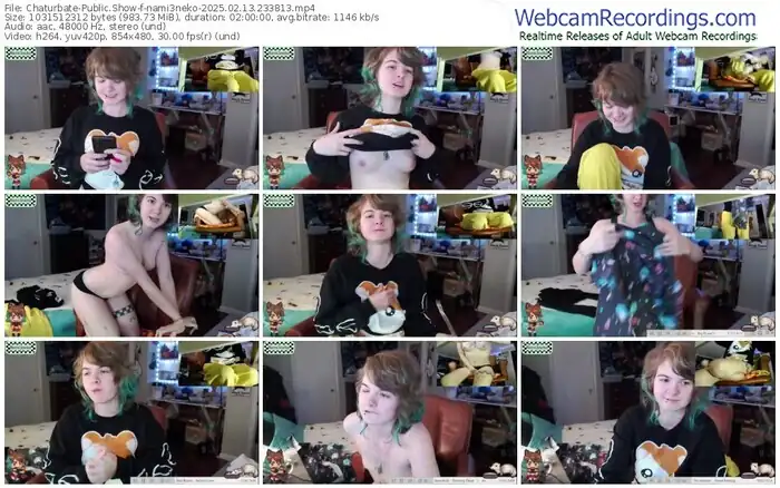 2025/02/13/chaturbate-nami3neko-23-38-13