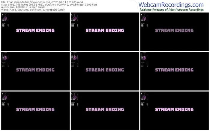 2025/02/14/chaturbate-minions_-15-12-05