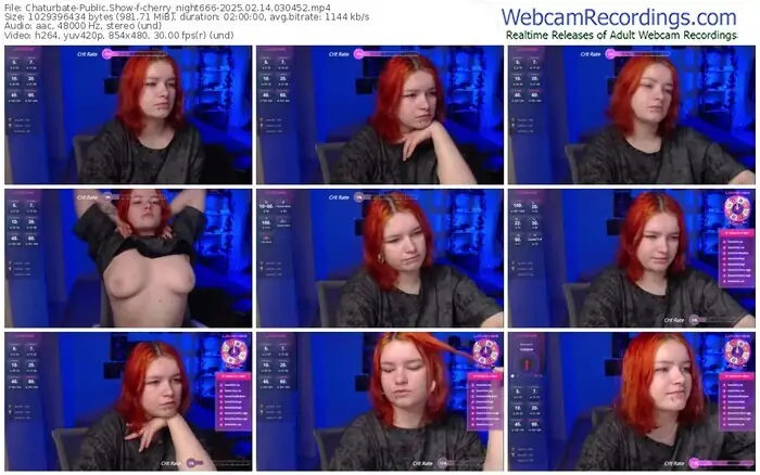 2025/02/14/chaturbate-cherry_night666-03-04-52