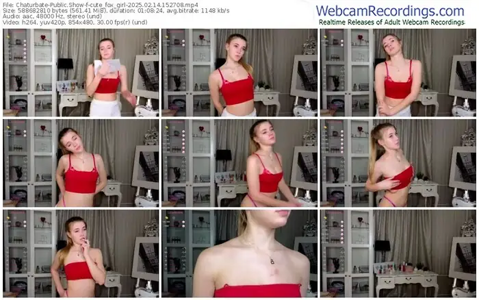 2025/02/14/chaturbate-cute_fox_girl-15-27-08
