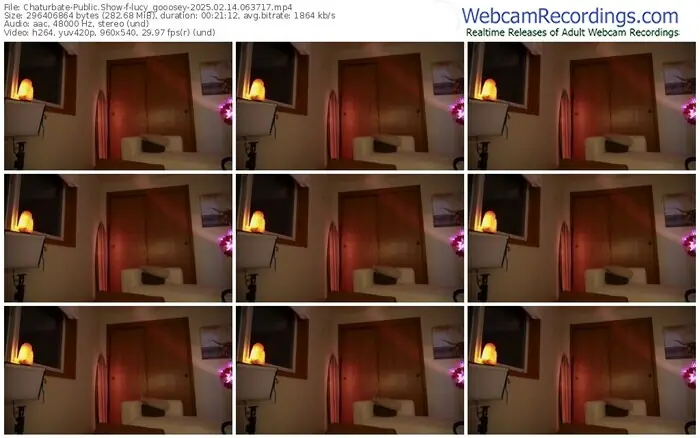 2025/02/14/chaturbate-lucy_gooosey-06-37-17