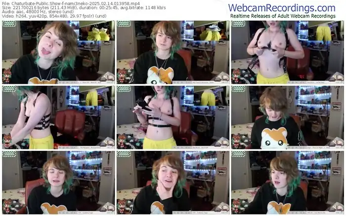2025/02/14/chaturbate-nami3neko-01-39-58