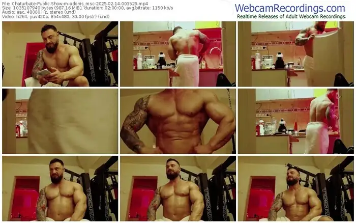 2025/02/14/chaturbate-adonis_msc-00-35-29