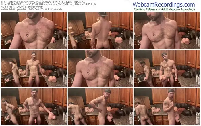 2025/02/14/chaturbate-alphazack14-07-58-45