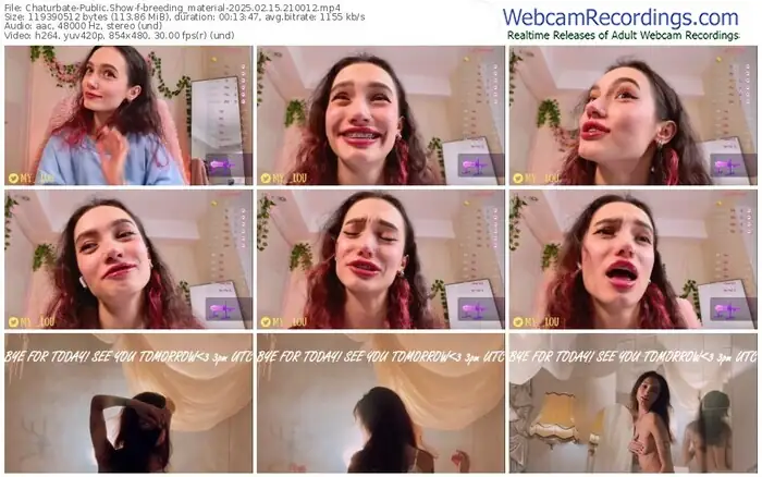 2025/02/15/chaturbate-breeding_material-21-00-12