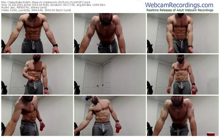 2025/02/15/chaturbate-clarkecock-03-02-57