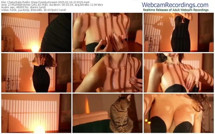 2025/02/16/chaturbate-jseductiveart-21-30-23