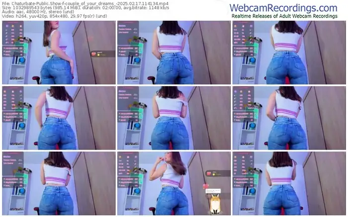 2025/02/17/chaturbate-couple_of_your_dreams_-11-41-34