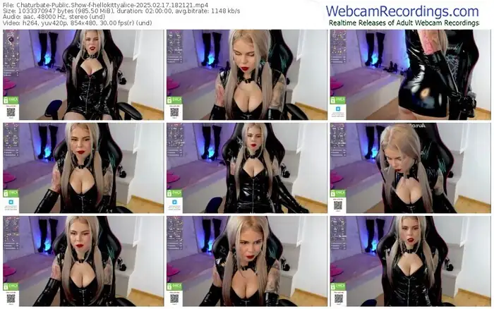 2025/02/17/chaturbate-hellokittyalice-18-21-21