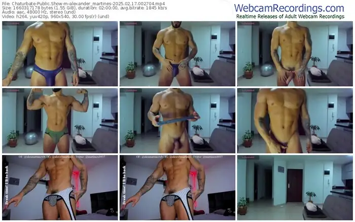 2025/02/17/chaturbate-alexander_martines-00-27-04