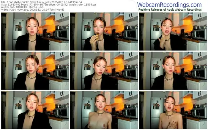 2025/02/17/chaturbate-niky_jess-19-41-33