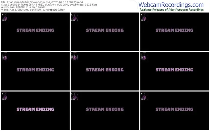2025/02/18/chaturbate-minions_-15-07-33