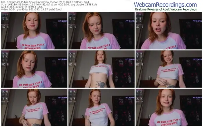 2025/02/18/chaturbate-artemisa_meows-00-15-21
