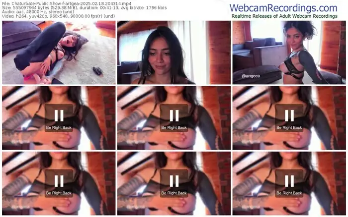 2025/02/18/chaturbate-artgea-20-43-14