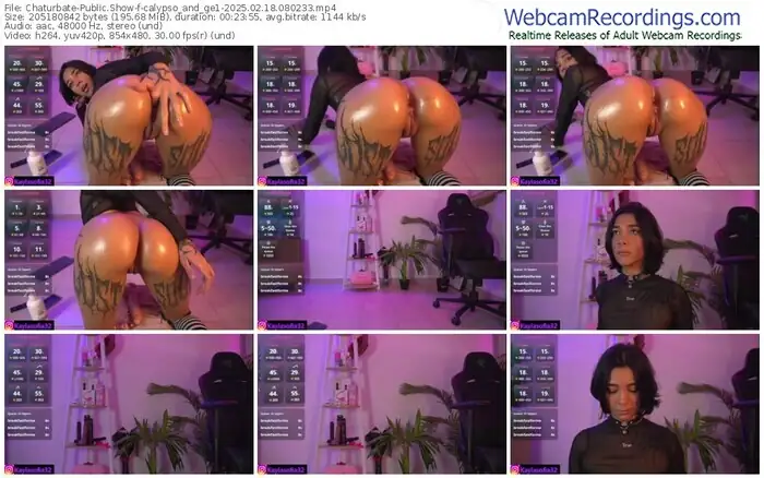 2025/02/18/chaturbate-calypso_and_ge1-08-02-33