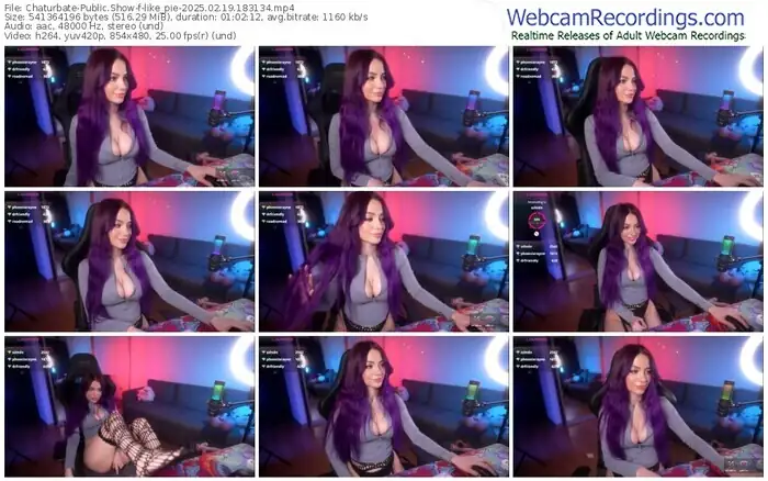 2025/02/19/chaturbate-like_pie-18-31-34