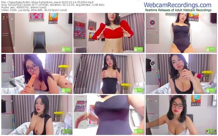 2025/02/19/chaturbate-phantom_wave-05-20-54