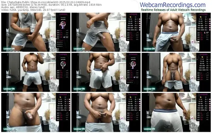 2025/02/20/chaturbate-roccoblack02-12-46-09