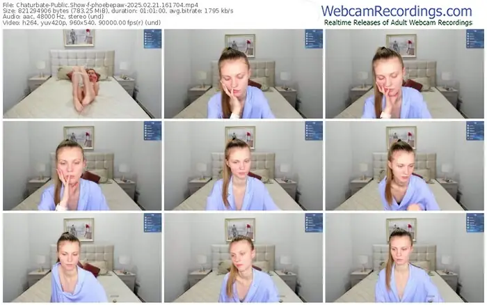 2025/02/21/chaturbate-phoebepaw-16-17-04