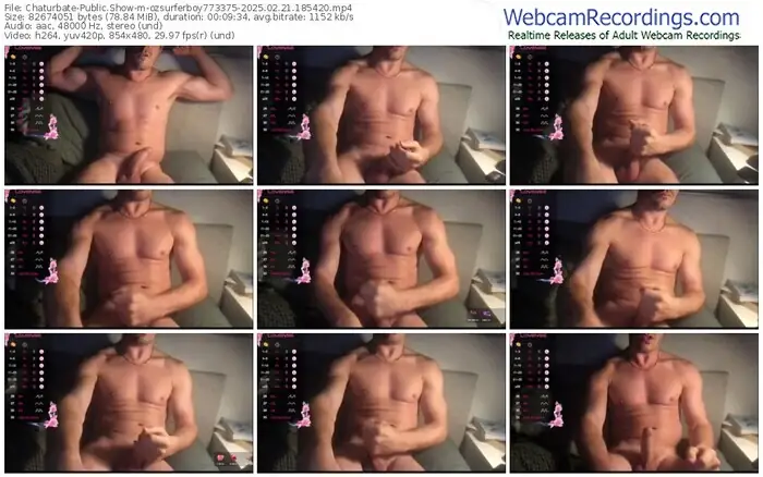 2025/02/21/chaturbate-ozsurferboy773375-18-54-20