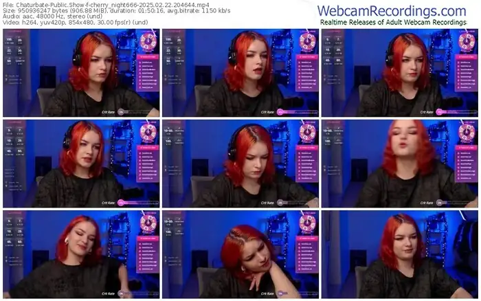 2025/02/22/chaturbate-cherry_night666-20-46-44