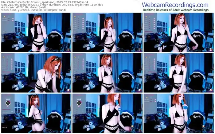 2025/02/23/chaturbate-_sparkland_-23-22-43