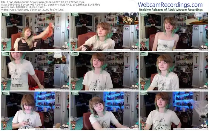 2025/02/23/chaturbate-nami3neko-22-25-43