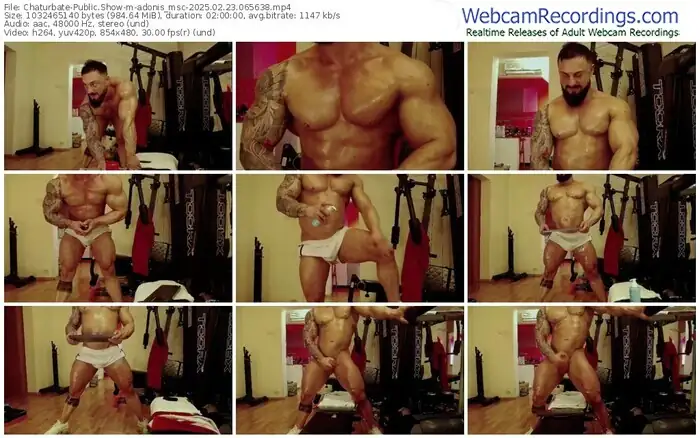 2025/02/23/chaturbate-adonis_msc-06-56-38