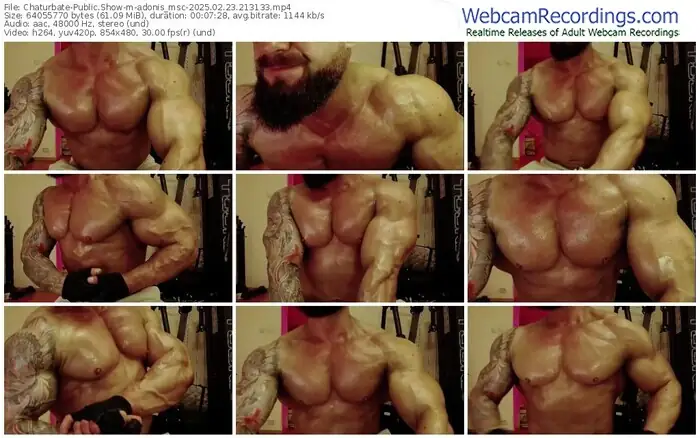 2025/02/23/chaturbate-adonis_msc-21-31-33