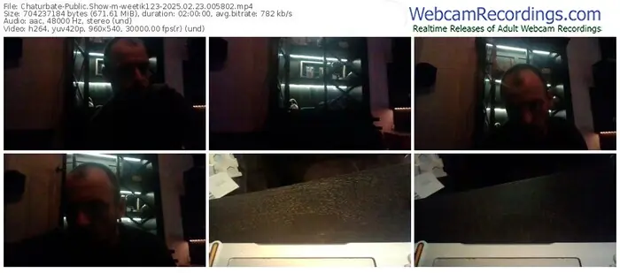 2025/02/23/chaturbate-weetik123-00-58-02