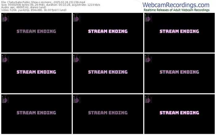 2025/02/24/chaturbate-minions_-15-12-39