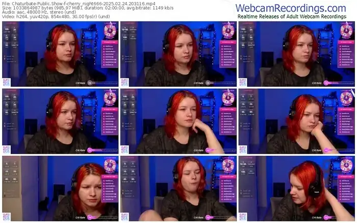2025/02/24/chaturbate-cherry_night666-20-31-16