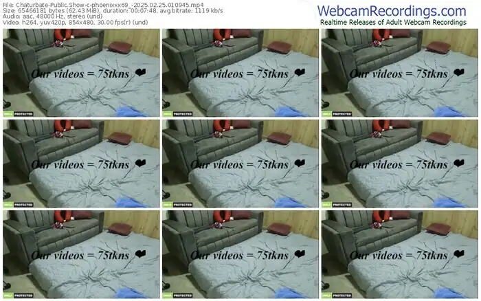2025/02/25/chaturbate-phoenixxx69_-01-09-45