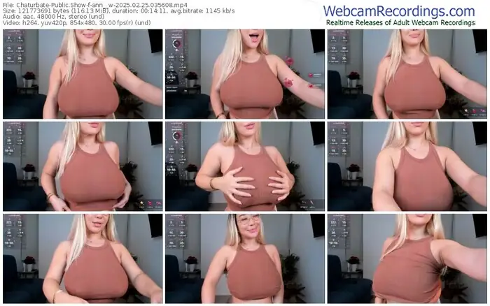 2025/02/25/chaturbate-ann__w-03-56-08