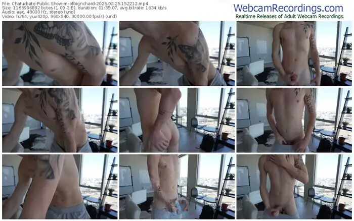 2025/02/25/chaturbate-ofbigrichard-15-22-12
