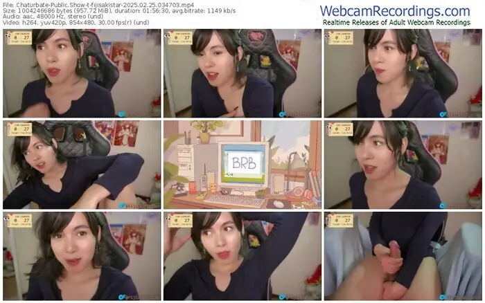 2025/02/25/chaturbate-fijisakistar-03-47-03