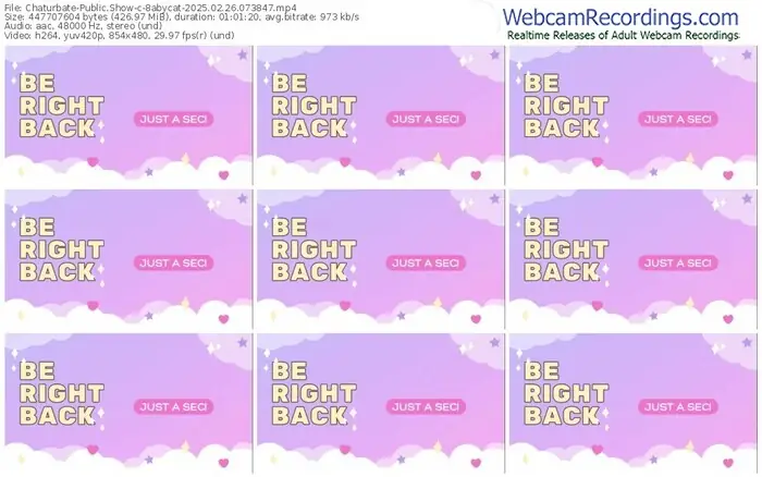 2025/02/26/chaturbate-8abycat-07-38-47