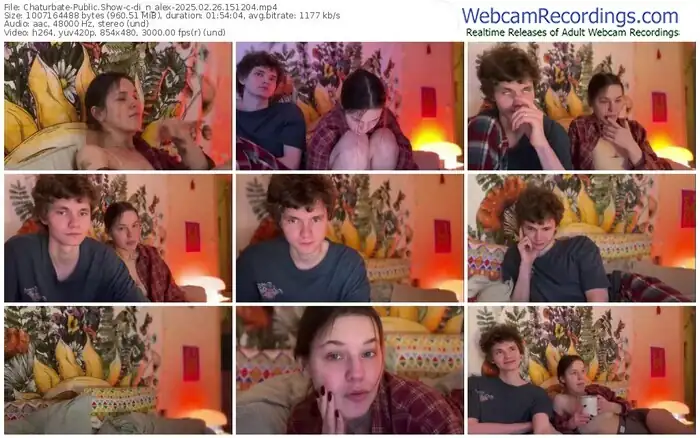 2025/02/26/chaturbate-di_n_alex-15-12-04