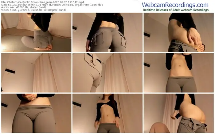 2025/02/26/chaturbate-hee_jeen-17-15-42