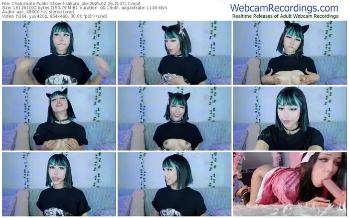 2025/02/26/chaturbate-sakura_pie-21-47-17