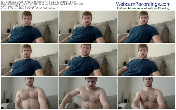 2025/02/26/chaturbate-thehairyprince-18-04-44