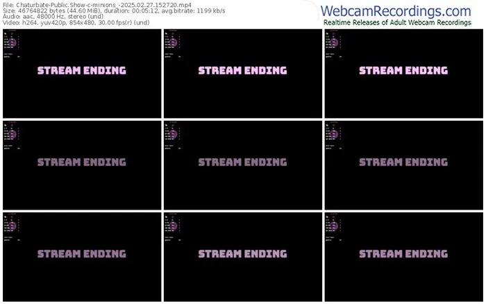 2025/02/27/chaturbate-minions_-15-27-20