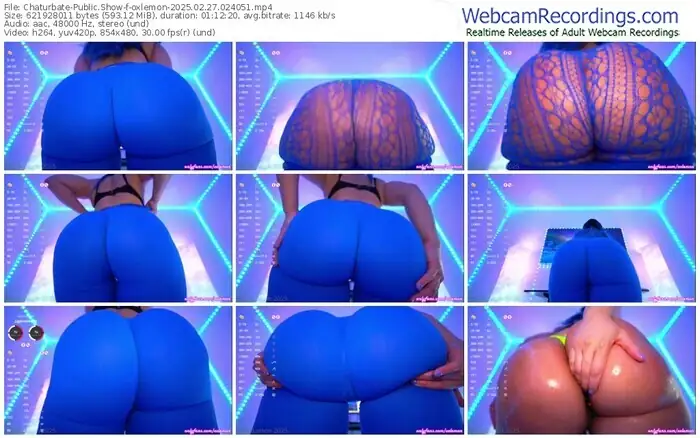 2025/02/27/chaturbate-oxlemon-02-40-51