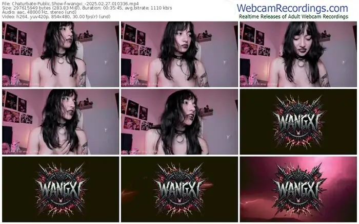 2025/02/27/chaturbate-wangxi_-01-03-36