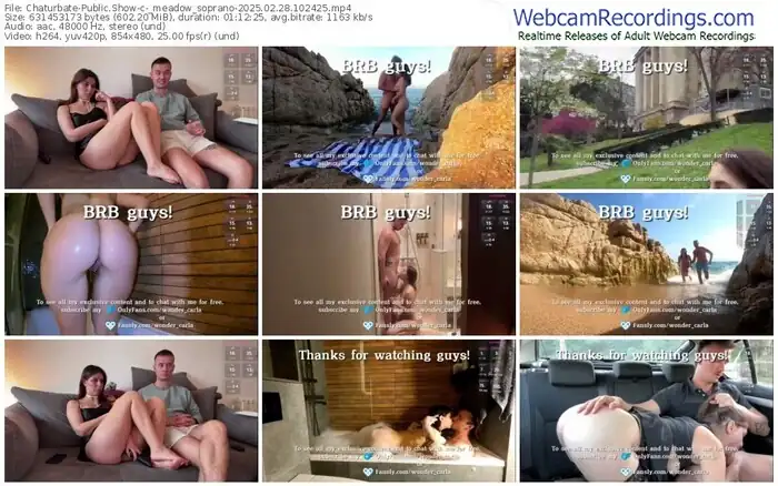 2025/02/28/chaturbate-_meadow_soprano-10-24-25