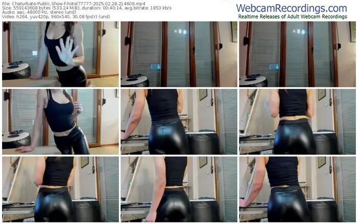 2025/02/28/chaturbate-hotel77777-21-46-09