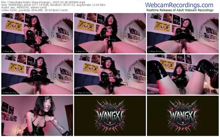 2025/02/28/chaturbate-wangxi_-00-58-04