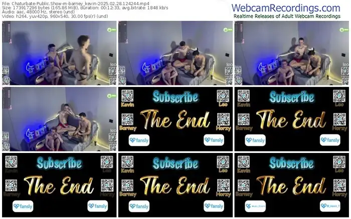 2025/02/28/chaturbate-barney_kevin-12-42-44